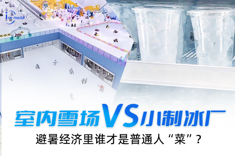 室內雪場VS小制冰廠，避暑經濟里誰才是普通人“菜”？